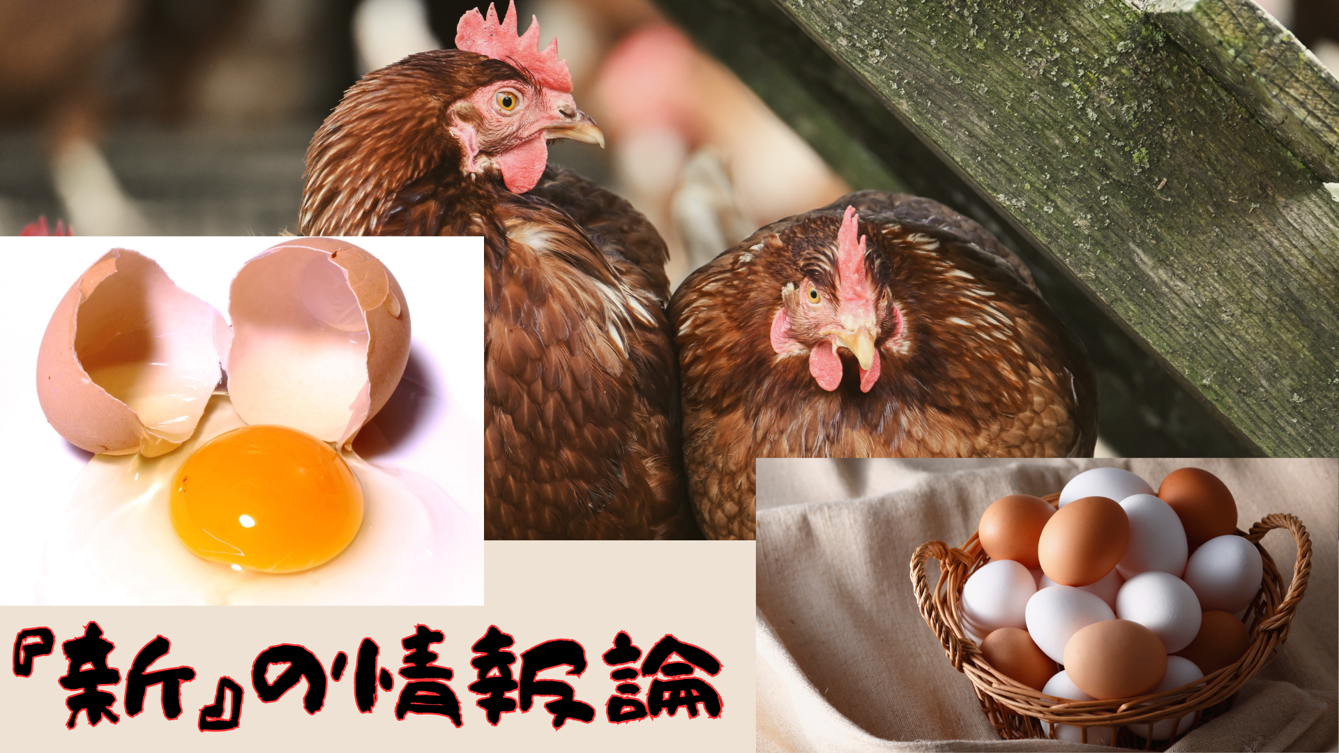 卵・にわとりの「新」の情報論
